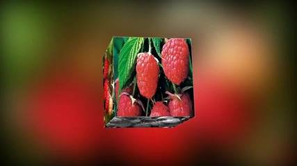 Валентина Легкоступова - Ягода-малина