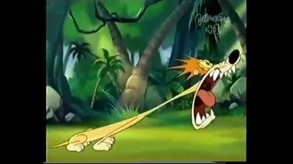 Boomerang The Lion Rofl! 