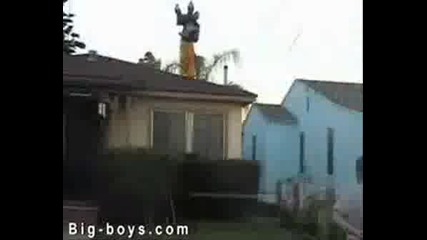 Ultimate Idiots