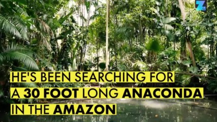 Animal star Jack Randall's surprise on an anaconda hunt