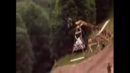 The Best Of Freeride And Downhill