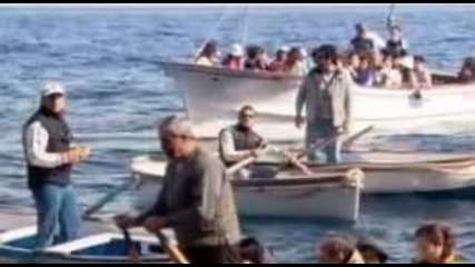 Фреди Куин - Рибарите на Капри 