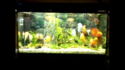 Vid_20131028_170102
