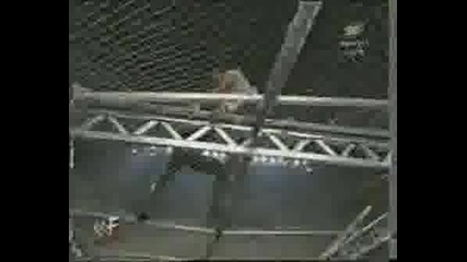 Wwf Wwe Tribute
