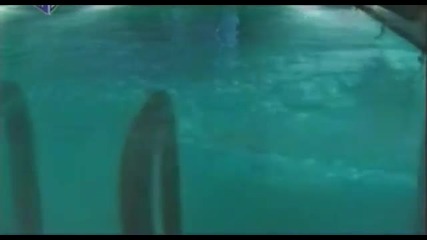 Ella B - Ajkula