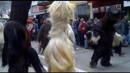 surva 2010 