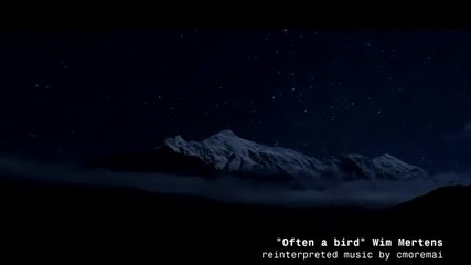 Often a Bird Wim Mertens remix