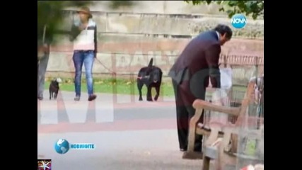 Секретни докум. в кошче за боклук хвърлил министър