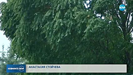 Циклонът носи проливни дъждове и у нас