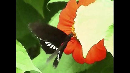 Angels on the Moon - Thriving Ivory 