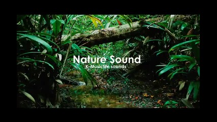 Nature Sound 3 - The Most Relaxing Sounds -