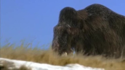 Bbc - Разходка с праисторическите зверове част 1/3 Епизод 6/6 High Quality