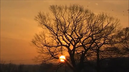 Van Morrison - Evening in June