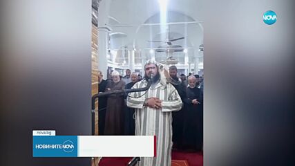 КУРИОЗ: Котка скочи върху раменете на имам по време на молитва