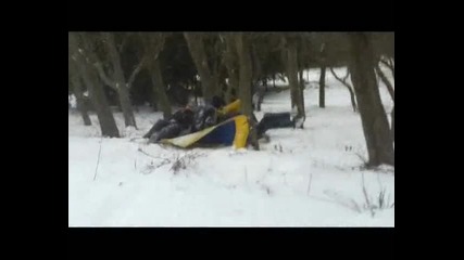 Деца се разбиват в дърво! Смях