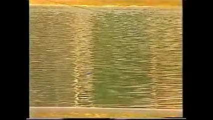 Serif Konjevic - Moj sokole 