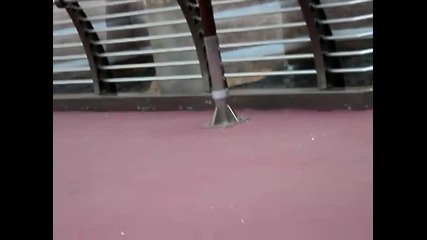 Япония по време на земетресенито 