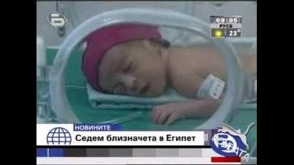 Бтв Новините - В Египет се родиха 7 близначета (18.08.2008) 