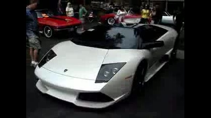 White Lamborghini Murcielago Lp640 Roadster