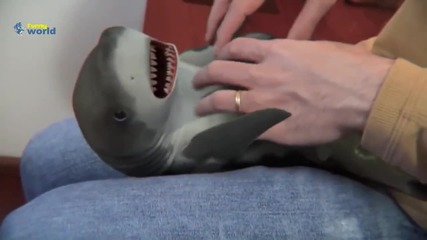 Да погъделичкаш малка акула...