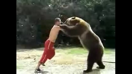 Игра с медведем