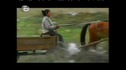 Cigani kradat Bokluci ot Kamionite 