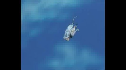 Ichigo vs Grimmjow 