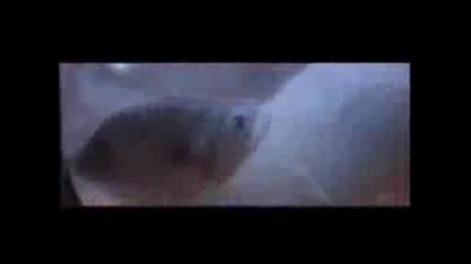 Hack! Trailer