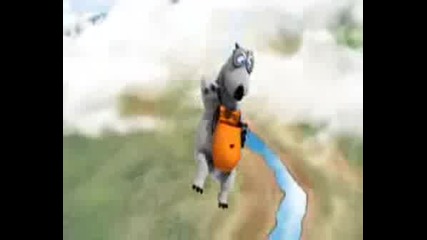 Bernard - Sky Dive