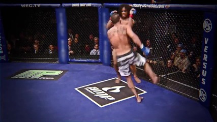 Легендата Брус Лий във Ufc 2014 !!!