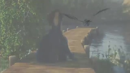 Chris Norman - Wings of love
