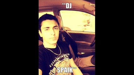 dj spaik 2013