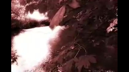Dark Nature Video (sd)_mpeg2video