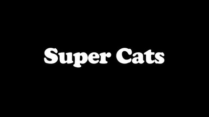 Supercats - the Funniest Cat Video!
