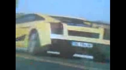 Lamborgini