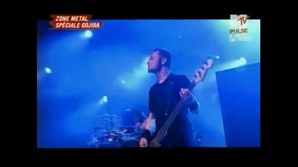 Gojira - The Way of All Flesh (live at Garorock Festival 2009) 