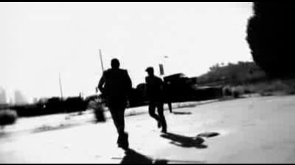 The Strays - You Are The Evolution 