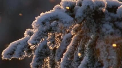 My Winter