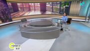 Парадоксите на българското животновъдство