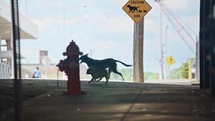 Dan + Shay - Nothin' Like You ( Official Video)