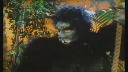 Tight Fit - The Lion Sleeps Tonight ( Високо качество) 