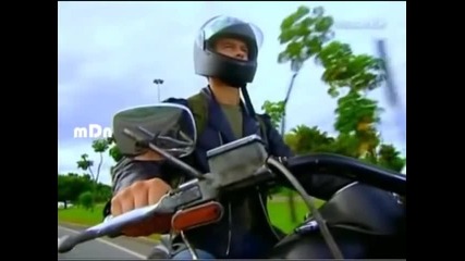 Cobras & Lagartos 36-4