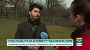 „Невидими животни“ настоява за създаване на Национална агенция за закрила на животните