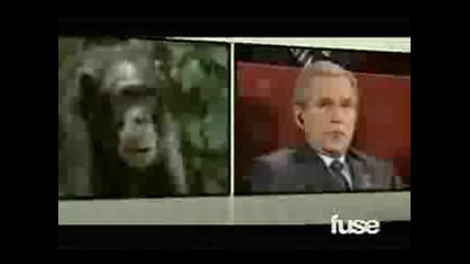 Korn - Evolution (official Music Video)