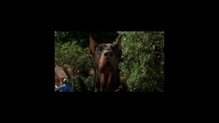 Гарфийлд (2004) Куче сцена