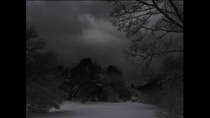 Nightforest - Winternight