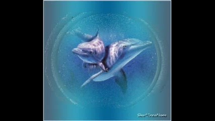 delfini