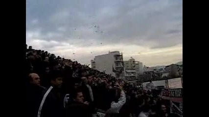 Paok Fans
