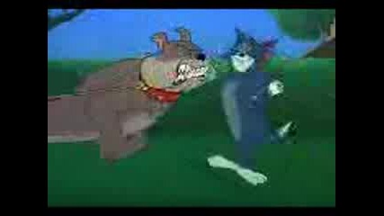Tom&jerry Preeban.3gp