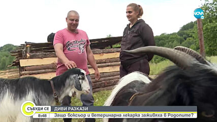 Защо едно семейство оставя успешен бизнес в града, за да заживее на село?